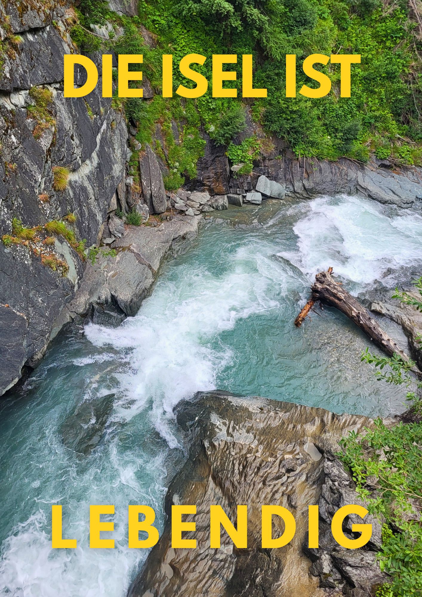 Bild zeigt einen Fluss von oben