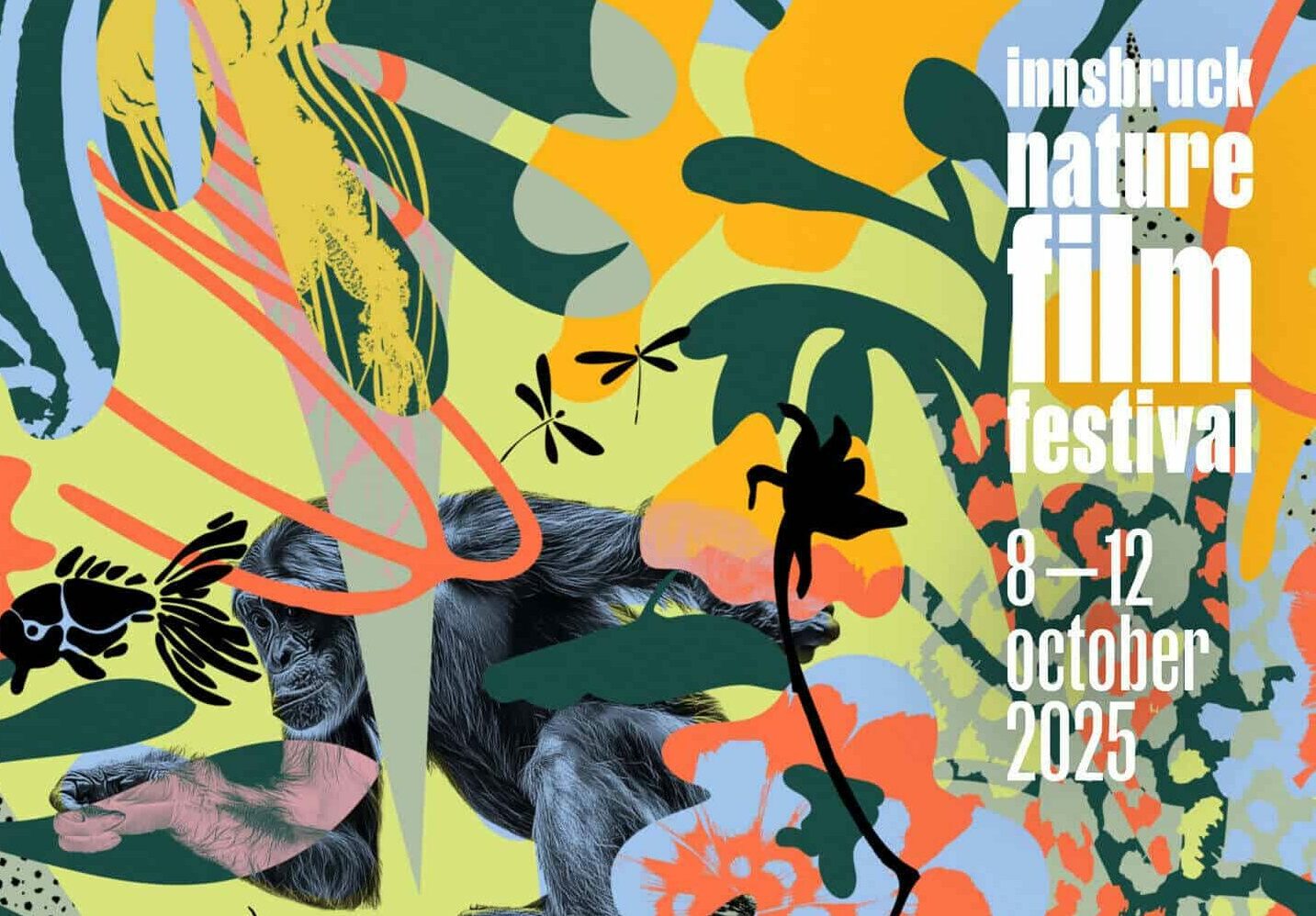 Das Innsbruck Nature Film Festival findet vom 8.-12.Oktober 2025 im Metropol Kino Innsbruck statt.