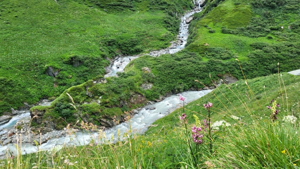 Empfehlung: Land der Berge: Die Isel